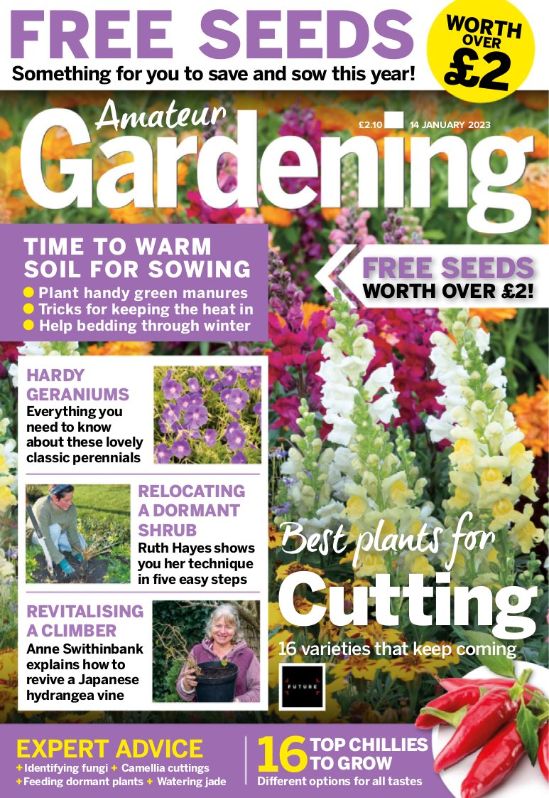 Amateur Gardening - January 2023